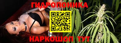 бошки Обь