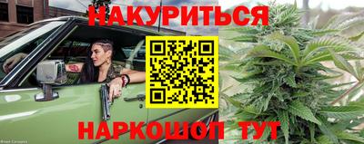сатива Обнинск