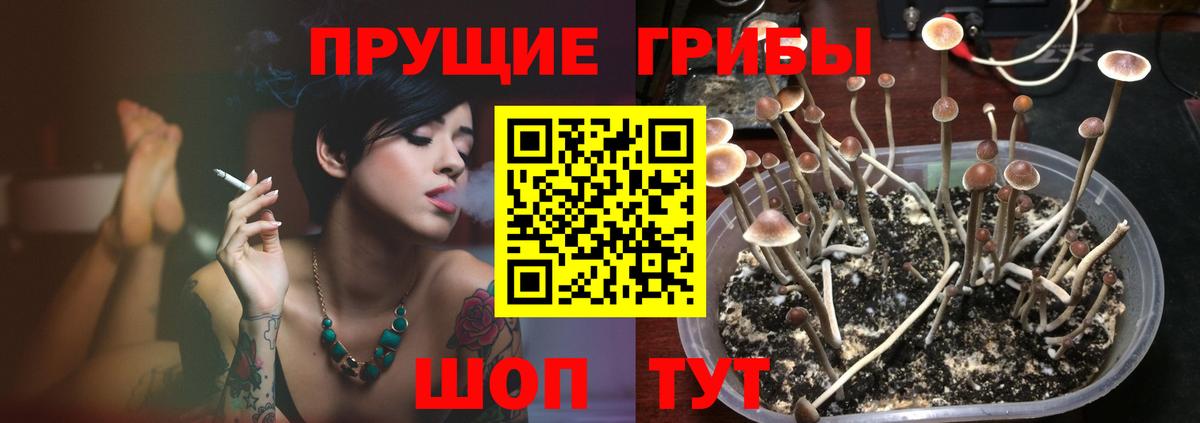 Галлюциногенные грибы Magic Shrooms Таганрог