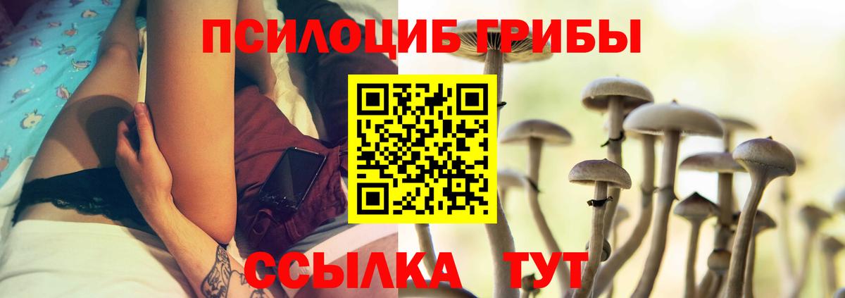 Таганрог  Псилоцибиновые грибы прущие грибы  Вход с VPN 
